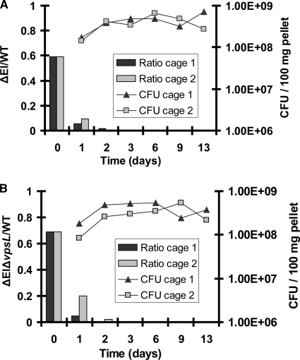 FIG. 8.