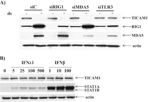 Figure 7.