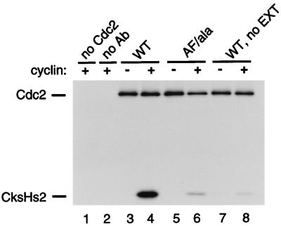 FIG. 5