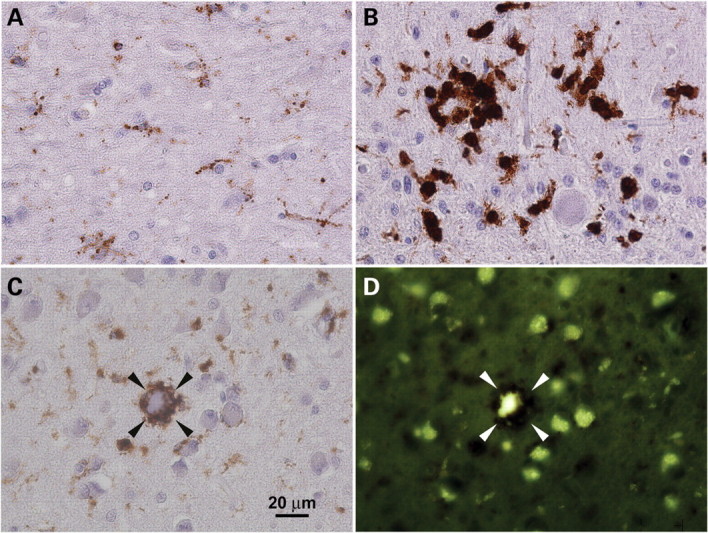 Figure 10.