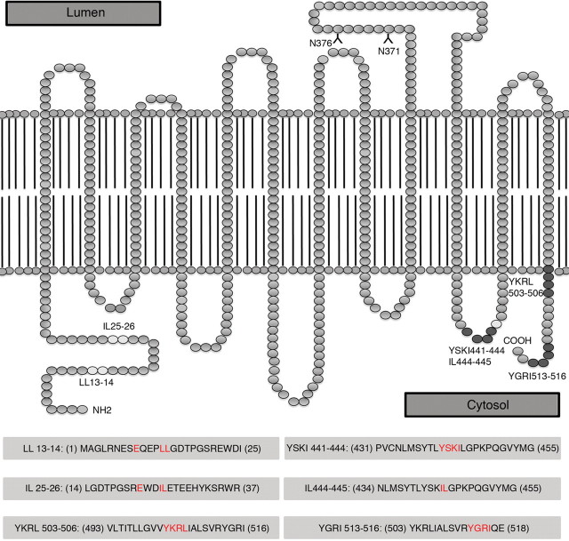 Figure 3.