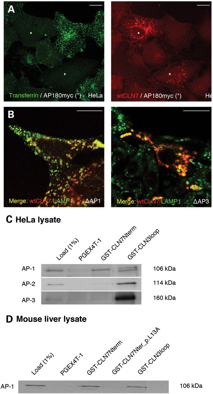 Figure 6.