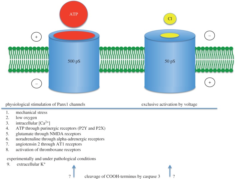 Figure 2.