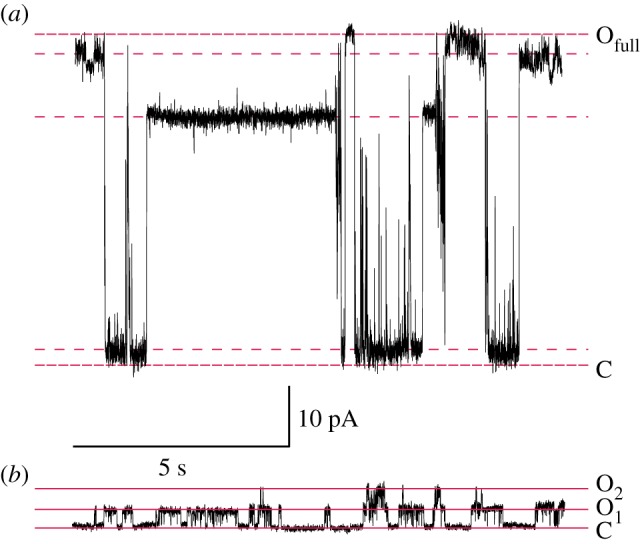 Figure 1.