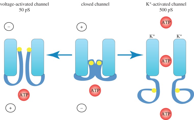 Figure 3.