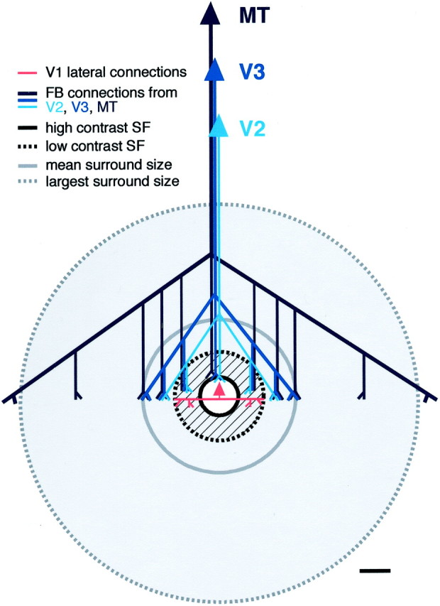 Fig. 9.