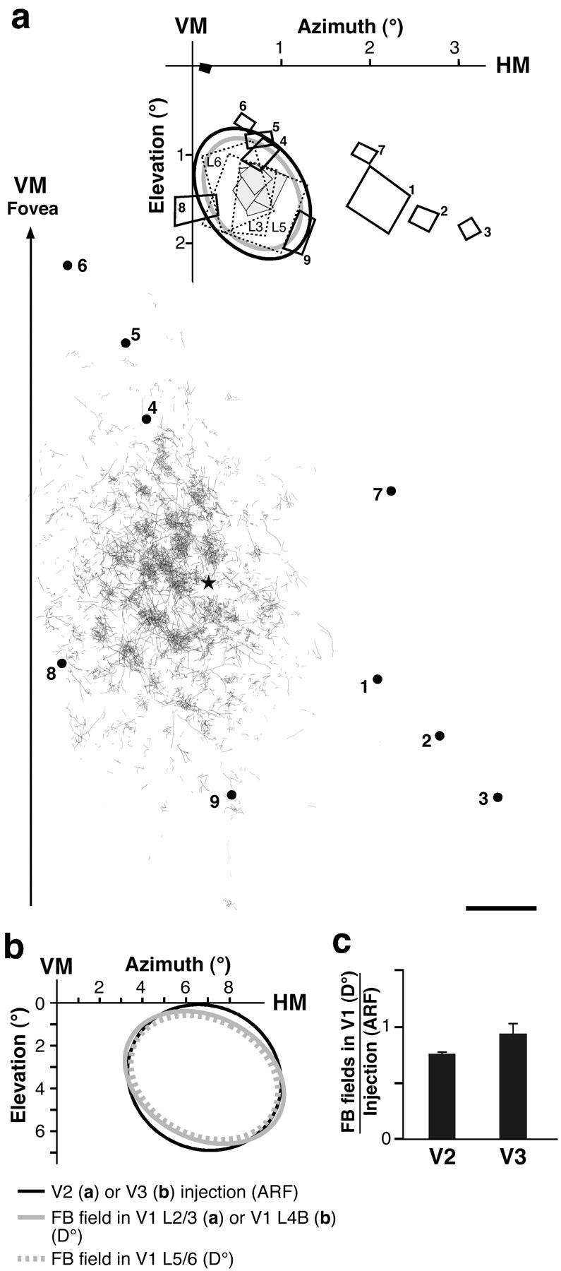 Fig. 8.