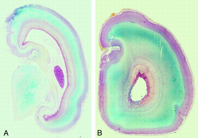 Fig 7.