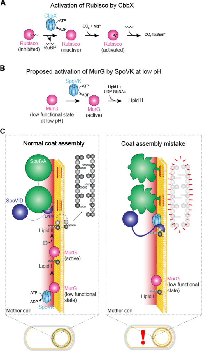 Figure 6.