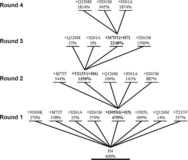 Fig 2