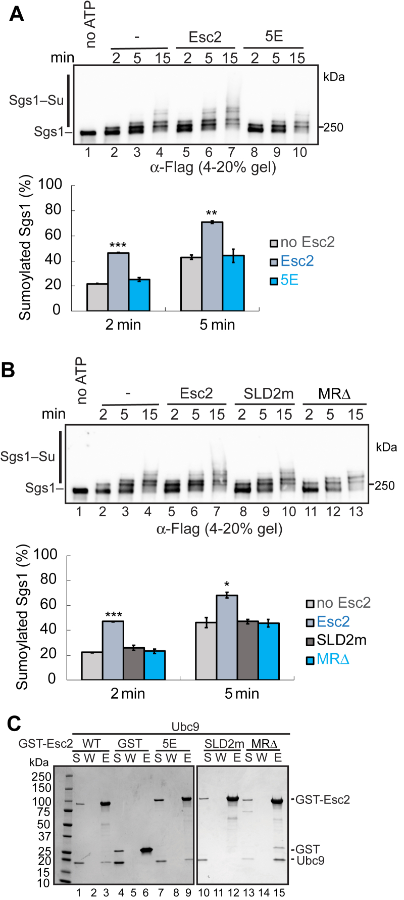 Figure 4