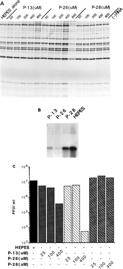 FIG. 6