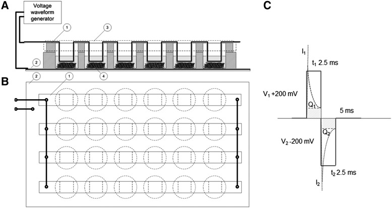 FIG. 1.