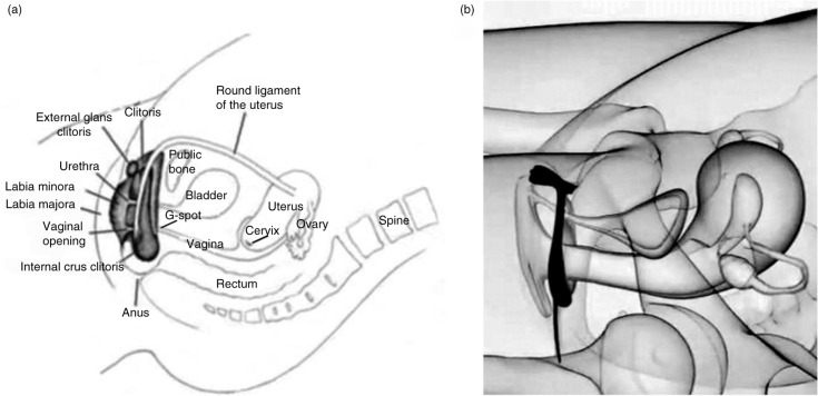 Fig. 3