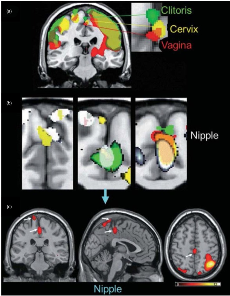 Fig. 6