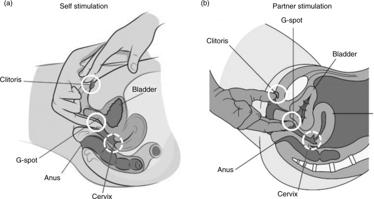 Fig. 4