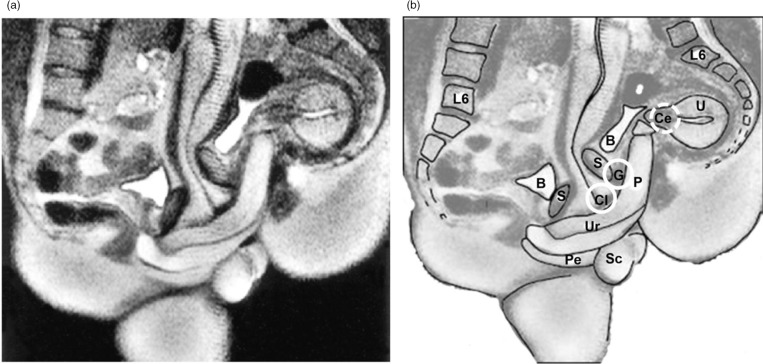 Fig. 5