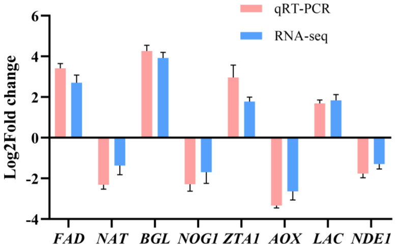 Figure 10