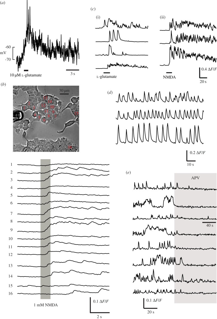 Figure 2.