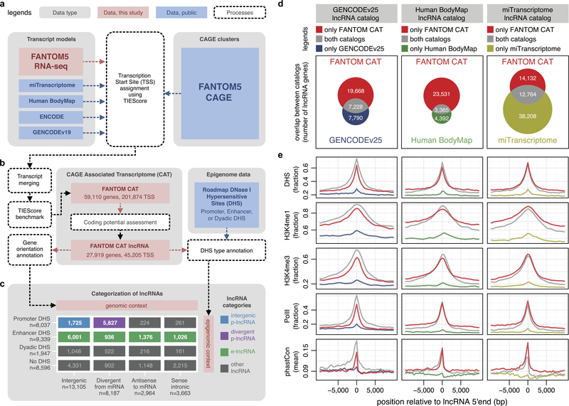 Extended Data Figure 1 |