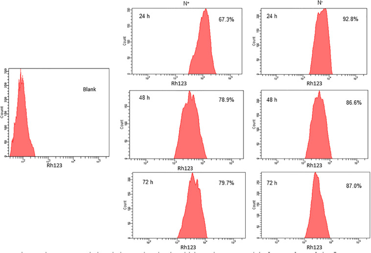 FIGURE 2