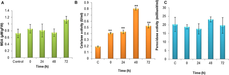 FIGURE 4