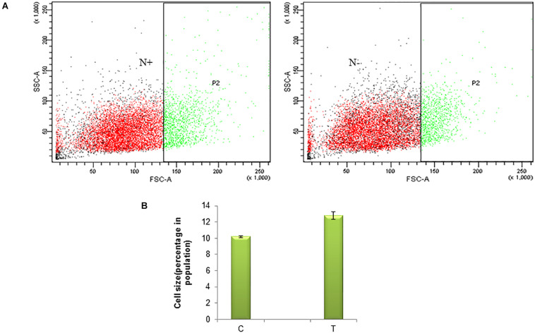 FIGURE 1