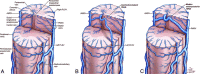 Fig 9.