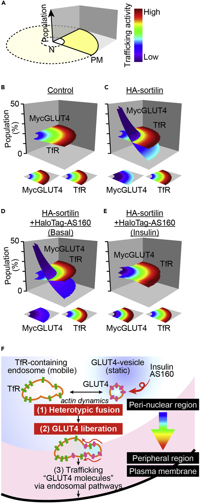 Figure 7