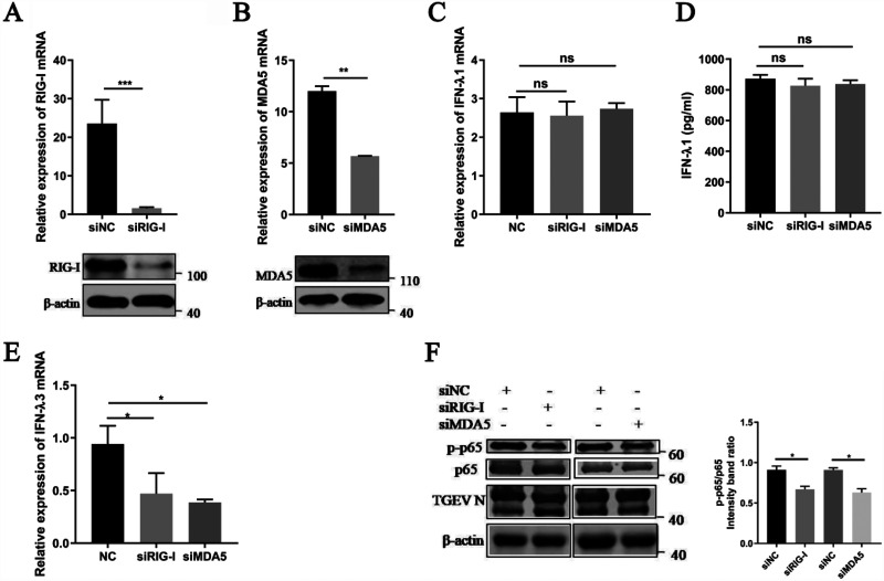 FIG 3