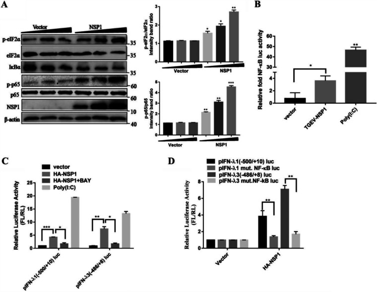 FIG 6