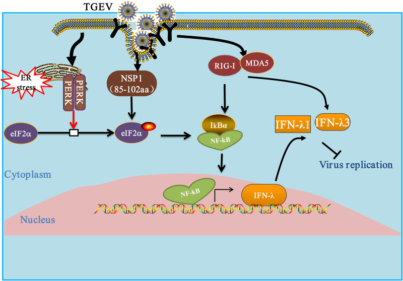 FIG 10