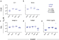 Dot plot showing the affinity of each receptor-antibody pair across repeated experiments. Antibodies captured by Protein A or an anti-Fab capture reagent generally do not show differences in affinity for FcγR.