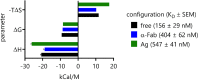 Bar graph of thermodynamic properties of IgG: FcγR complexes. Antigen-bound IgG exhibits decreased enthalpy.