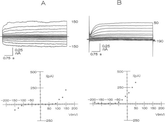 graphic file with name pnas01142-0087-a.jpg