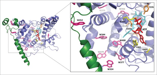 Figure 5.