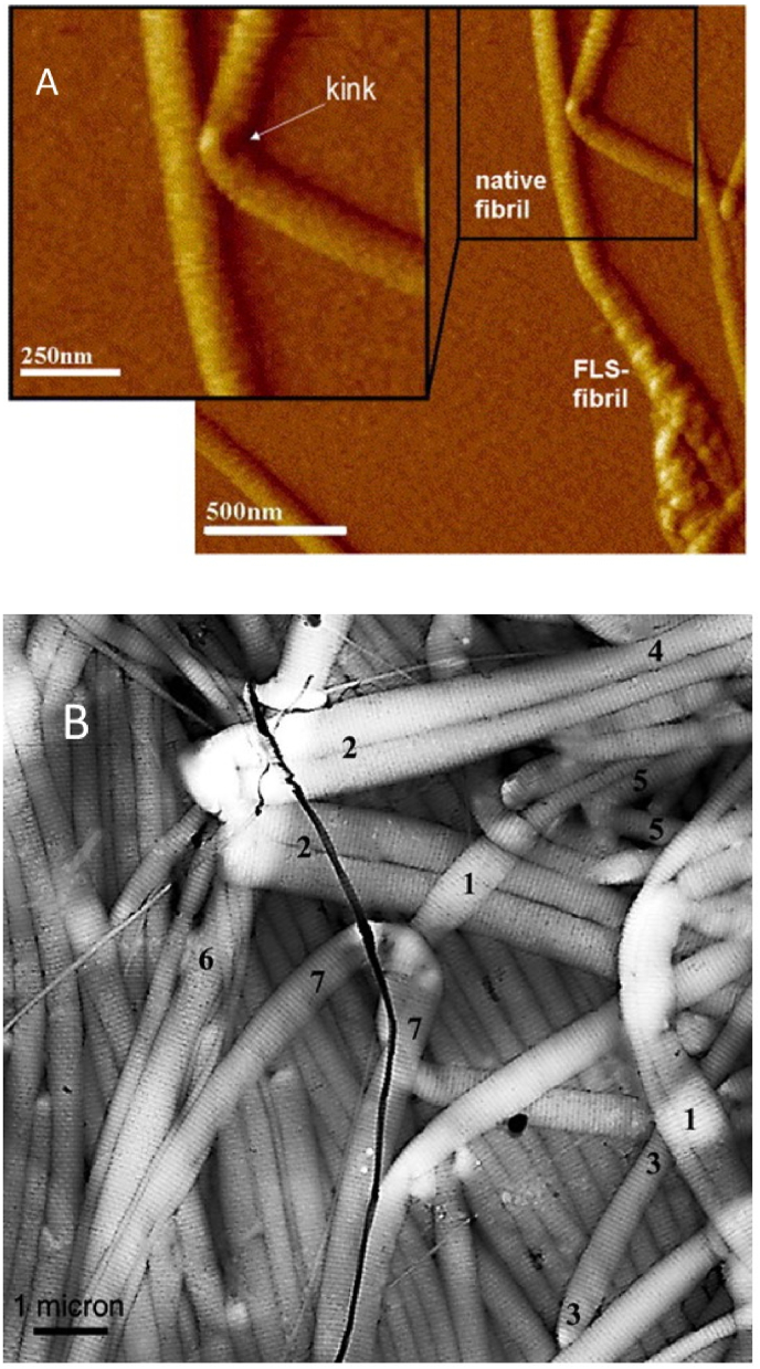 Fig. 9