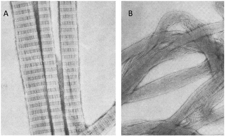 Fig. 10