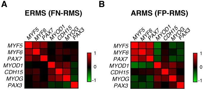 Figure 4—figure supplement 1.