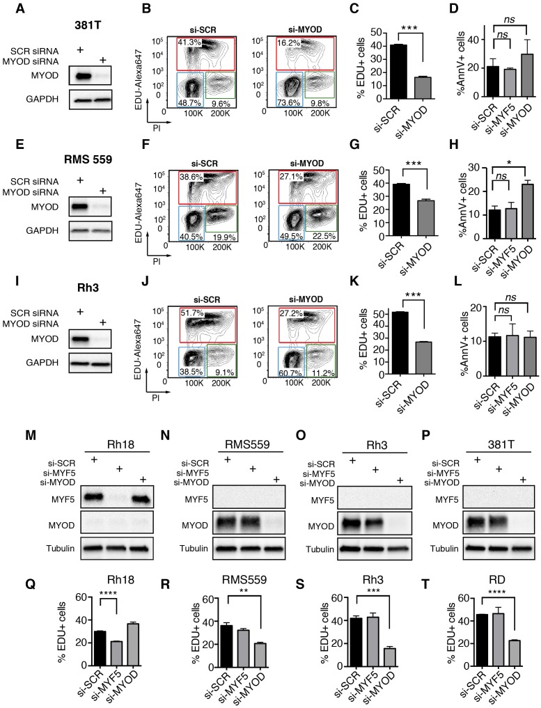 Figure 4—figure supplement 4.