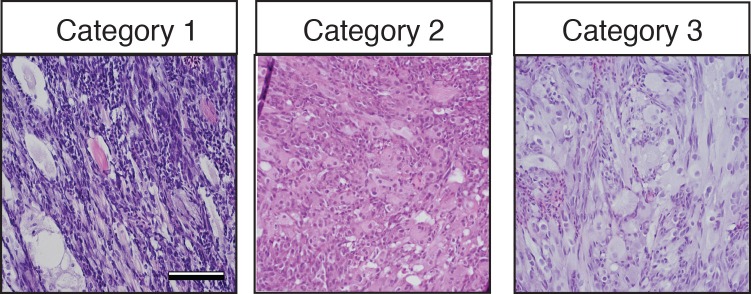 Figure 2—figure supplement 1.