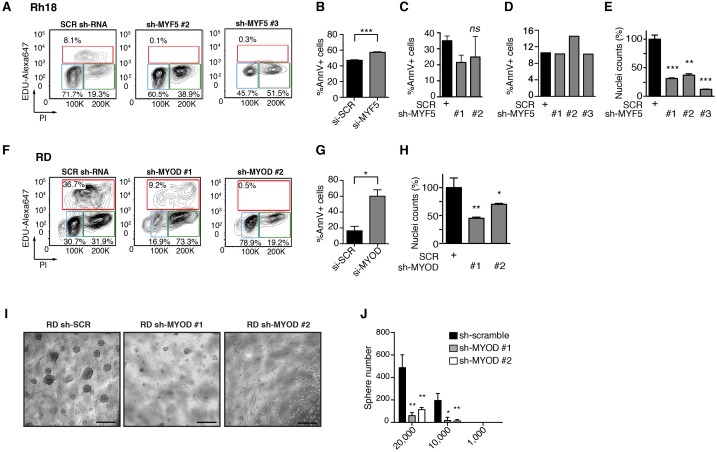 Figure 4—figure supplement 3.