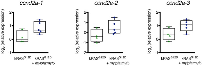 Figure 6—figure supplement 2.