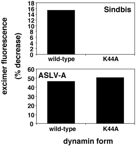 FIG. 8.