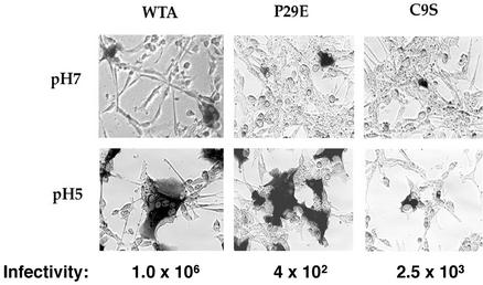 FIG. 9.