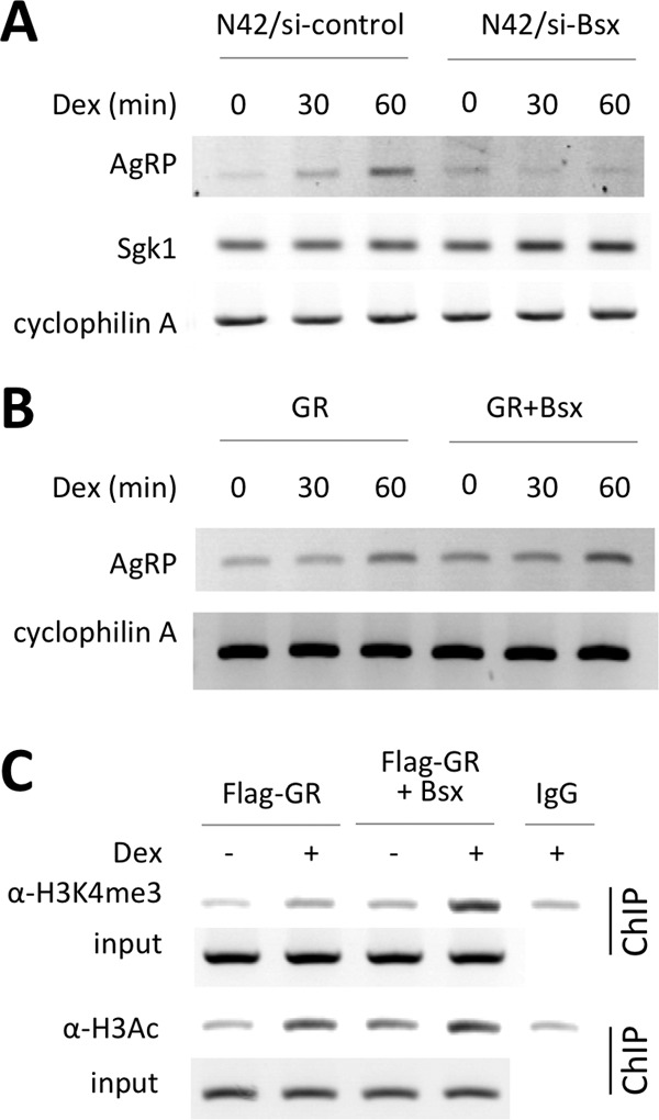 Fig 5