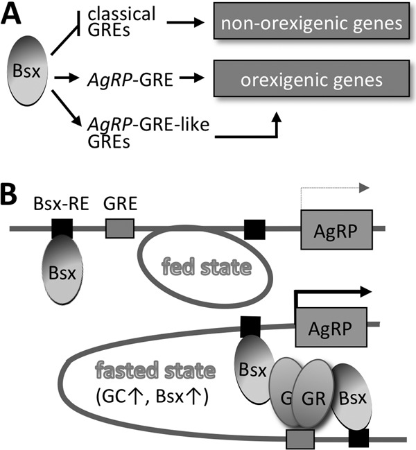 Fig 7