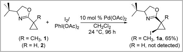 Scheme 3