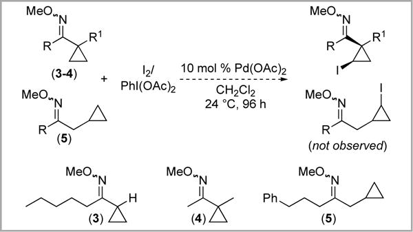 Scheme 6