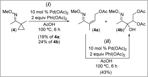 Scheme 8